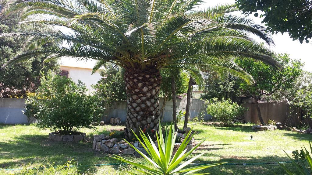 Villa Gandamar Santa Teresa Gallura Exterior photo