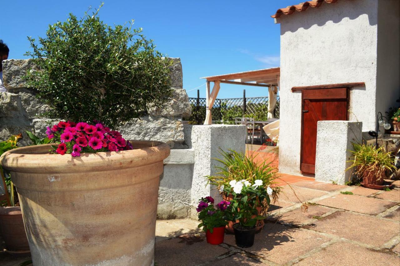 Villa Gandamar Santa Teresa Gallura Exterior photo